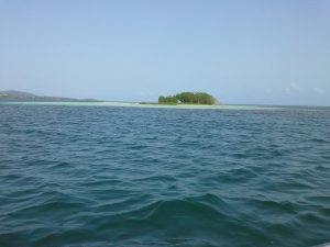 20140818_084118_resized