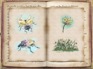 Une multitude de dessins sont répartis à l'intérieur comme à l'extérieur des carnets. 