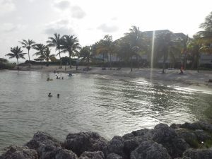 20140817_162948_resized