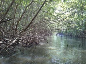 20140818_093139_resized_1