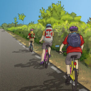 bicycle_opt